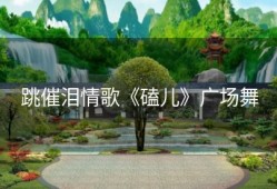 跳催泪情歌《磕儿》广场舞