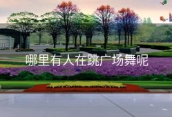 哪里有人在跳广场舞呢