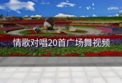 情歌对唱20首广场舞视频