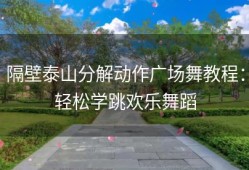 隔壁泰山分解动作广场舞教程：轻松学跳欢乐舞蹈