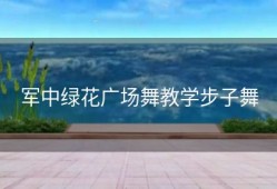 军中绿花广场舞教学步子舞