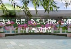 动动广场舞：敖包再相会，旋律中的民族团结