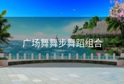 广场舞舞步舞蹈组合
