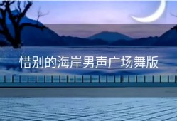 惜别的海岸男声广场舞版