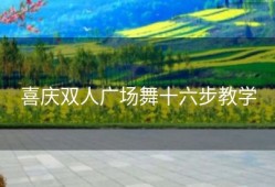 喜庆双人广场舞十六步教学