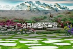 广场舞绿色的军营