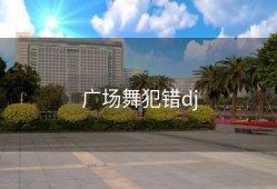 广场舞犯错dj