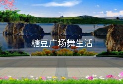 糖豆广场舞生活