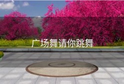 广场舞请你跳舞