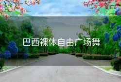 巴西裸体自由广场舞