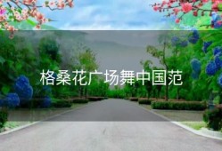 格桑花广场舞中国范