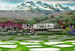 到万美广场舞