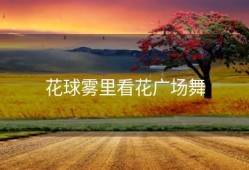 花球雾里看花广场舞