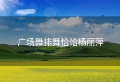 广场舞排舞恰恰杨丽萍