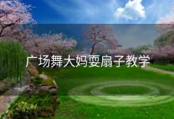 广场舞大妈耍扇子教学