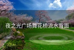 夜之光广场舞花桥流水背面