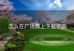 怎么在广场舞上下载歌曲