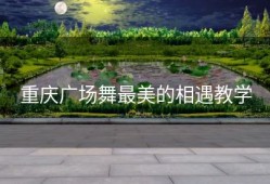 重庆广场舞最美的相遇教学