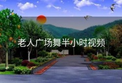 老人广场舞半小时视频