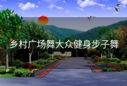 乡村广场舞大众健身步子舞