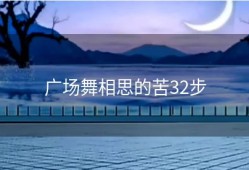 广场舞相思的苦32步