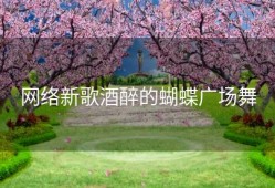 网络新歌酒醉的蝴蝶广场舞