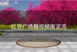 红豆广场舞视频南泥湾