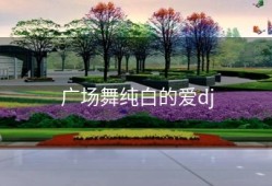 广场舞纯白的爱dj