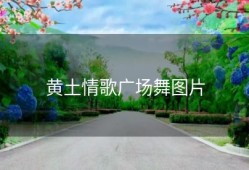 黄土情歌广场舞图片