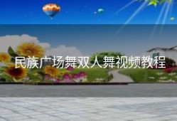 民族广场舞双人舞视频教程