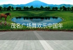 茂名广场舞欢乐中国年