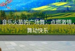 音乐火苗的广场舞：点燃激情，舞动快乐