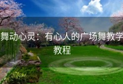 舞动心灵：有心人的广场舞教学教程