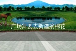 广场舞要去新疆摘棉花