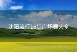 沈阳流行16步广场舞大全