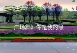 广场舞》你是我的缘