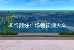 孝感靓妹广场舞视频大全