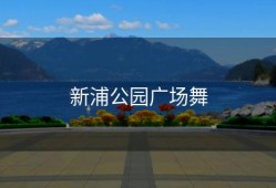 新浦公园广场舞