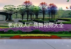 老式双人广场舞视频大全