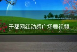 于都网红动感广场舞视频