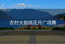 农村大姐桃花开广场舞