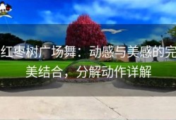 红枣树广场舞：动感与美感的完美结合，分解动作详解