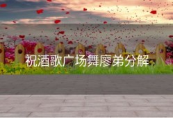 祝酒歌广场舞廖弟分解