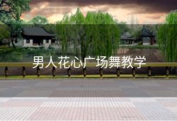男人花心广场舞教学