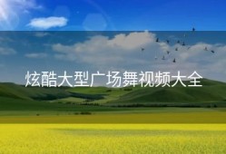 炫酷大型广场舞视频大全