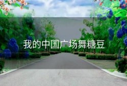 我的中国广场舞糖豆