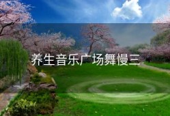 养生音乐广场舞慢三