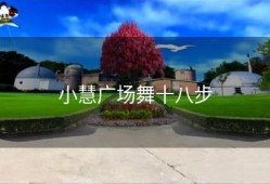 小慧广场舞十八步