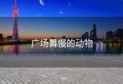 广场舞慢的动物
