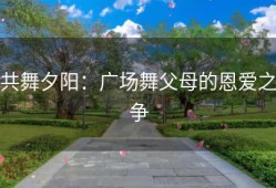 共舞夕阳：广场舞父母的恩爱之争